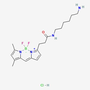 molecular formula C20H30BClF2N4O B13115298 BDPFLamineHCl 