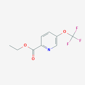 Ethyl 5-(trifluoromethoxy)picolinate