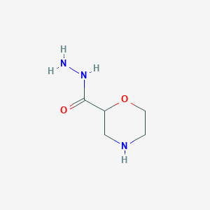 Morpholine-2-carbohydrazide