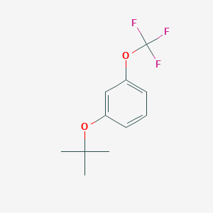 3-Trifluoromethoxy-1-tert-butoxybenzene