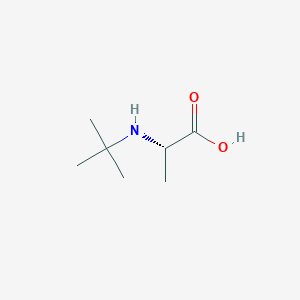 molecular formula C7H15NO2 B13119427 (S)-2-(tert-Butylamino)propanoic acid 