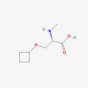 molecular formula C8H15NO3 B13120552 O-Cyclobutyl-N-methyl-L-serine 