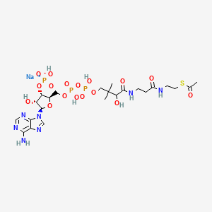 molecular formula C23H37N7NaO17P3S B13121170 Acetylcoenzymeasodiumsalt 