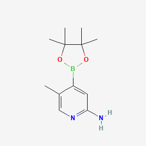 molecular formula C12H19BN2O2 B13125147 5-Methyl-4-(4,4,5,5-tetramethyl-1,3,2-dioxaborolan-2-yl)pyridin-2-amine 