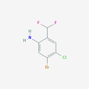 molecular formula C7H5BrClF2N B13131013 5-Bromo-4-chloro-2-(difluoromethyl)aniline 