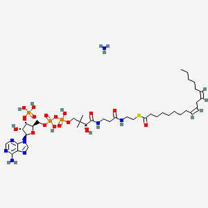 molecular formula C39H69N8O17P3S B13131470 S-[2-[3-[[(2R)-4-[[[(2R,3S,4R,5R)-5-(6-aminopurin-9-yl)-4-hydroxy-3-phosphonooxyoxolan-2-yl]methoxy-hydroxyphosphoryl]oxy-hydroxyphosphoryl]oxy-2-hydroxy-3,3-dimethylbutanoyl]amino]propanoylamino]ethyl] (9Z,12Z)-octadeca-9,12-dienethioate;azane 