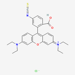 5-Isothiocyanatorhodamine B