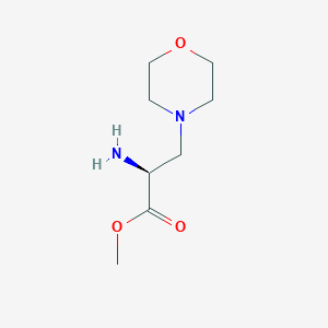 molecular formula C8H16N2O3 B13134919 3-(1-Morpholinyl)-L-Ala-OMe 