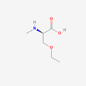 molecular formula C6H13NO3 B13135263 O-Ethyl-N-methyl-D-serine 