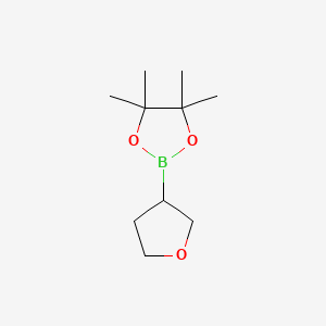 molecular formula C10H19BO3 B1313690 4,4,5,5-四甲基-2-(四氢呋喃-3-基)-1,3,2-二氧杂硼环 CAS No. 331958-90-8