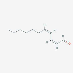 molecular formula C11H18O B13140349 (2Z,4Z)-Undeca-2,4-dienal 