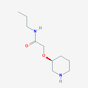 (S)-2-(Piperidin-3-yloxy)-N-propylacetamide