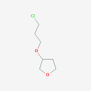 molecular formula C7H13ClO2 B13145676 3-(3-Chloropropoxy)oxolane 