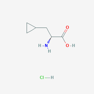 molecular formula C6H12ClNO2 B13145697 (R)-2-Amino-3-cyclopropylpropanoicacidhydrochloride CAS No. 1260606-51-6