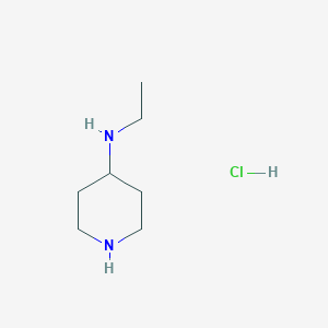 molecular formula C7H17ClN2 B13146316 N-Ethylpiperidin-4-amine hydrochloride CAS No. 1841081-36-4