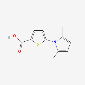 molecular formula C11H11NO2S B13146497 5-(2,5-dimethyl-1H-pyrrol-1-yl)thiophene-2-carboxylic acid 