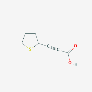 3-(Thiolan-2-yl)prop-2-ynoic acid