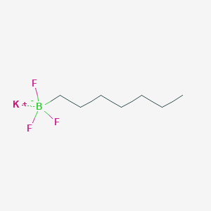 molecular formula C7H15BF3K B13147906 Potassiumtrifluoro(heptyl)borate 