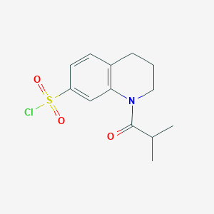 molecular formula C13H16ClNO3S B13150966 1-(2-Methylpropanoyl)-1,2,3,4-tetrahydroquinoline-7-sulfonyl chloride 