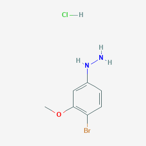 molecular formula C7H10BrClN2O B13151340 (4-Bromo-3-methoxyphenyl)hydrazine hydrochloride 