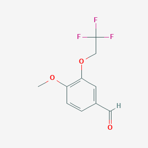 B1315199 4-Methoxy-3-(2,2,2-trifluoroethoxy)benzaldehyde CAS No. 76588-84-6