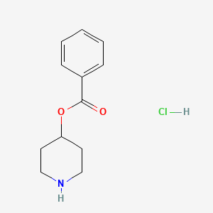 B1315461 4-Piperidinyl benzoate hydrochloride CAS No. 67098-29-7