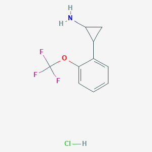 molecular formula C10H11ClF3NO B13154718 2-[2-(Trifluoromethoxy)phenyl]cyclopropan-1-amine hydrochloride 