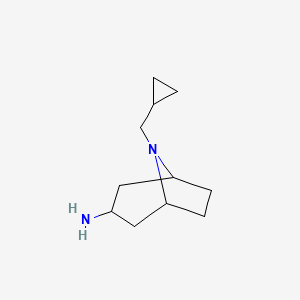 molecular formula C11H20N2 B13154827 8-(Cyclopropylmethyl)-8-azabicyclo[3.2.1]octan-3-amine 