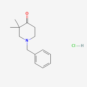 molecular formula C14H20ClNO B13157151 1-Benzyl-3,3-dimethylpiperidin-4-one hydrochloride 