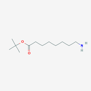 molecular formula C12H25NO2 B1315718 叔丁基 8-氨基辛酸酯 CAS No. 102522-32-7