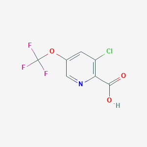 3-Chloro-5-(trifluoromethoxy)picolinic acid