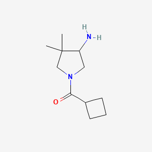 molecular formula C11H20N2O B13159363 1-Cyclobutanecarbonyl-4,4-dimethylpyrrolidin-3-amine 