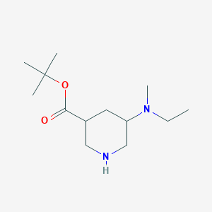 molecular formula C13H26N2O2 B13159389 tert-Butyl 5-[ethyl(methyl)amino]piperidine-3-carboxylate 