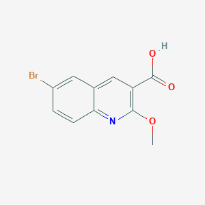 molecular formula C11H8BrNO3 B13160251 6-Bromo-2-methoxyquinoline-3-carboxylic acid 