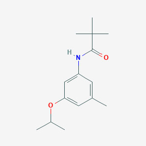 molecular formula C15H23NO2 B13160399 2,2-Dimethyl-N-[3-methyl-5-(propan-2-yloxy)phenyl]propanamide 