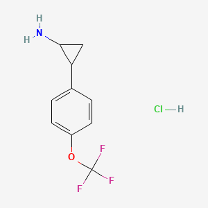 molecular formula C10H11ClF3NO B13160918 2-[4-(Trifluoromethoxy)phenyl]cyclopropan-1-amine hydrochloride 