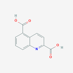 B131620 2,5-Quinolinedicarboxylic acid CAS No. 155602-27-0
