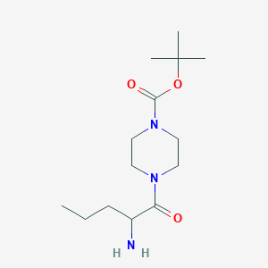 molecular formula C14H27N3O3 B13162456 Tert-butyl 4-(2-aminopentanoyl)piperazine-1-carboxylate 