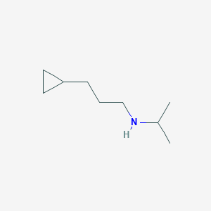 molecular formula C9H19N B13163128 (3-Cyclopropylpropyl)(propan-2-yl)amine 