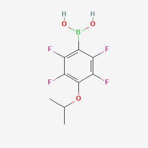 molecular formula C9H9BF4O3 B1316326 4-异丙氧基-2,3,5,6-四氟苯硼酸 CAS No. 871126-28-2