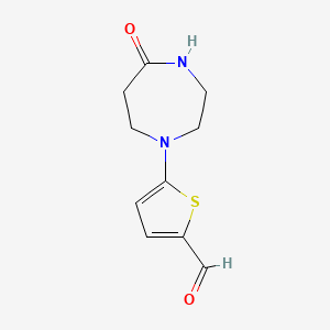 molecular formula C10H12N2O2S B13164134 5-(5-Oxo-1,4-diazepan-1-yl)thiophene-2-carbaldehyde 