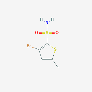 molecular formula C5H6BrNO2S2 B13164230 3-Bromo-5-methylthiophene-2-sulfonamide 