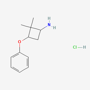 molecular formula C12H18ClNO B13165244 2,2-Dimethyl-3-phenoxycyclobutan-1-amine hydrochloride 