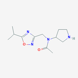 molecular formula C12H20N4O2 B13165875 N-{[5-(propan-2-yl)-1,2,4-oxadiazol-3-yl]methyl}-N-(pyrrolidin-3-yl)acetamide 