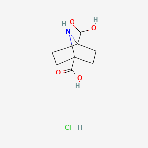 molecular formula C8H12ClNO4 B13166900 7-Azabicyclo[2.2.1]heptane-1,4-dicarboxylic acid hydrochloride 