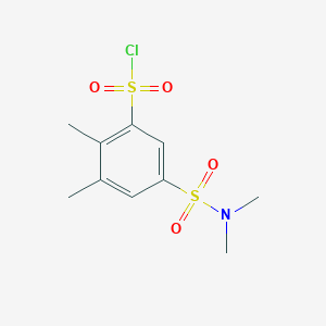 molecular formula C10H14ClNO4S2 B13167611 5-[(Dimethylamino)sulfonyl]-2,3-dimethylbenzenesulfonyl chloride 