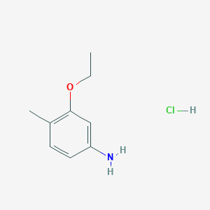 molecular formula C9H14ClNO B13169114 3-Ethoxy-4-methylaniline hydrochloride 