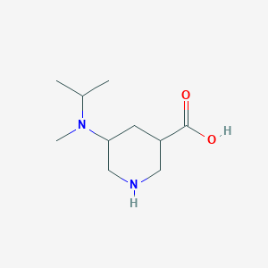 5-[Methyl(propan-2-yl)amino]piperidine-3-carboxylic acid