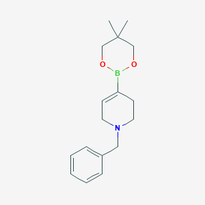 molecular formula C17H24BNO2 B13169641 1-Benzyl-4-(5,5-dimethyl-1,3,2-dioxaborinan-2-yl)-1,2,3,6-tetrahydropyridine 