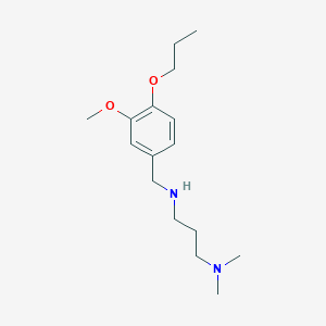 molecular formula C16H28N2O2 B13169652 [3-(Dimethylamino)propyl][(3-methoxy-4-propoxyphenyl)methyl]amine 